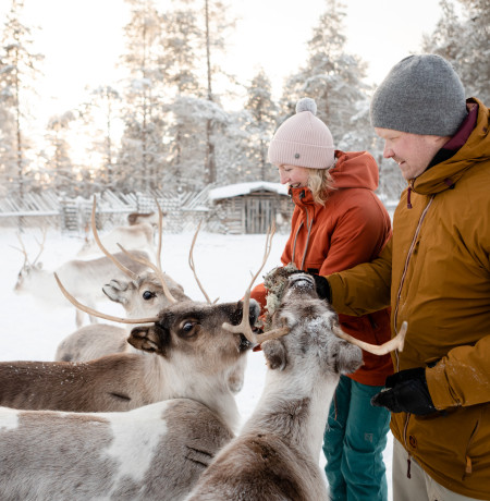 VisitPyhäLuosto_ porot1