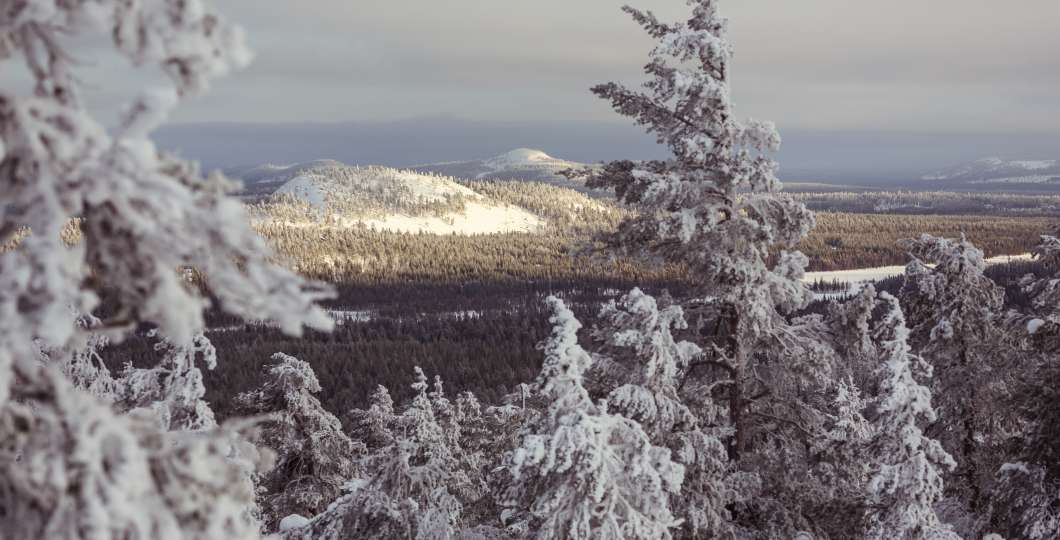 VisitPyhaLuosto-maisema